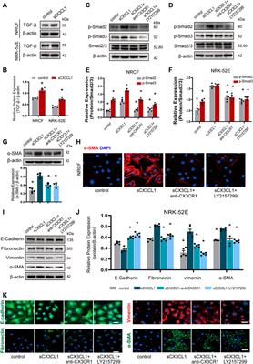 CX3CL1 Worsens Cardiorenal Dysfunction and Serves as a Therapeutic Target of Canagliflozin for Cardiorenal Syndrome